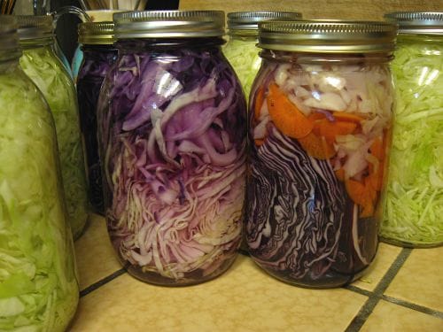 Make Sauerkraut & Kimchi With Tali Biale At Brooklyn ARTery This Saturday