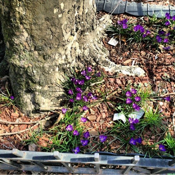 Photo of the Day: Signs of Spring