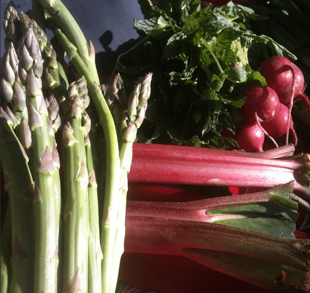 This Week At The Cortelyou Greenmarket