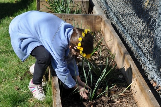 Plant At PS 139’s Gardening Workshop Tomorrow