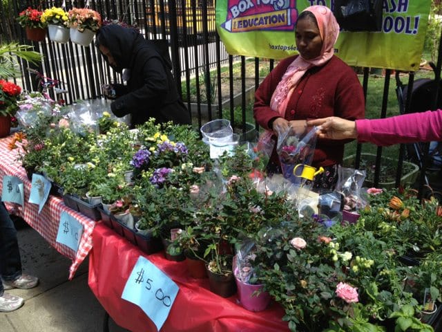 The PS 217 Mother’s Day Plant & Bake Sale Starts Tomorrow