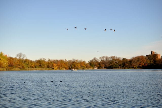 The Ever-Shrinking Funding Of Prospect Park