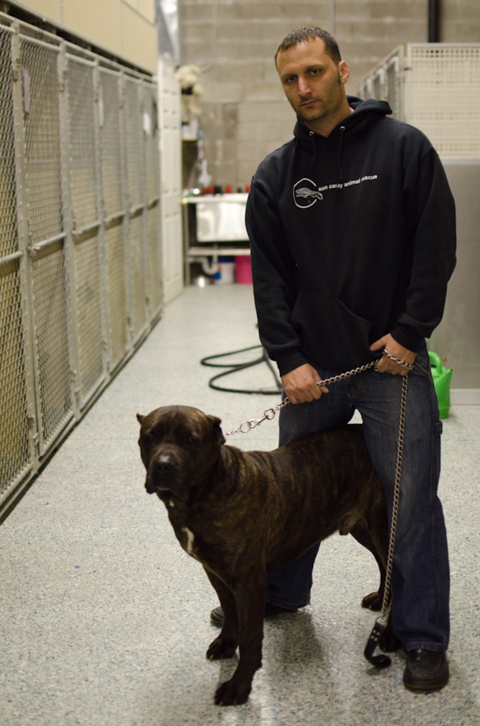 Behind The Scenes At Sean Casey Animal Rescue