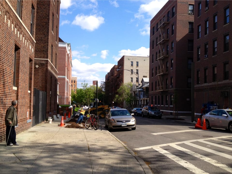 It’s Happening! New Trees On Westminster