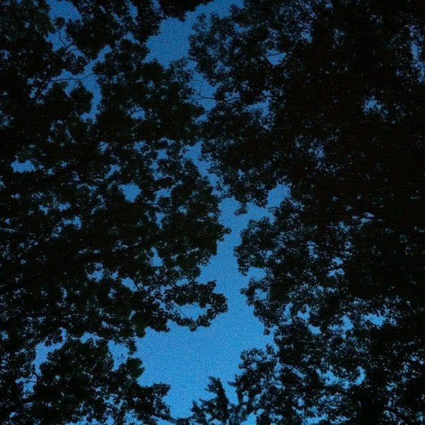 Photo Of The Day: Twilight In The Cemetery