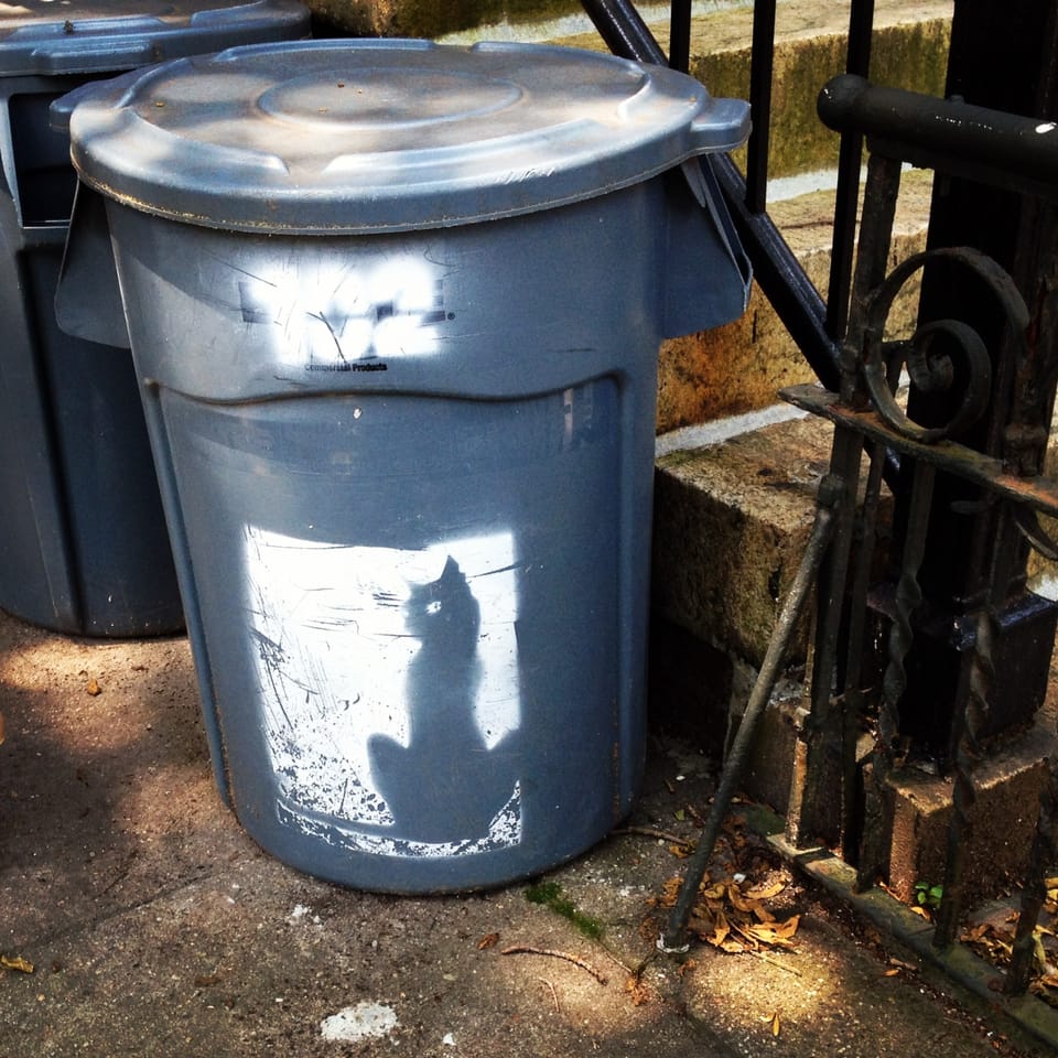 Photo Of The Day: Trash Cat