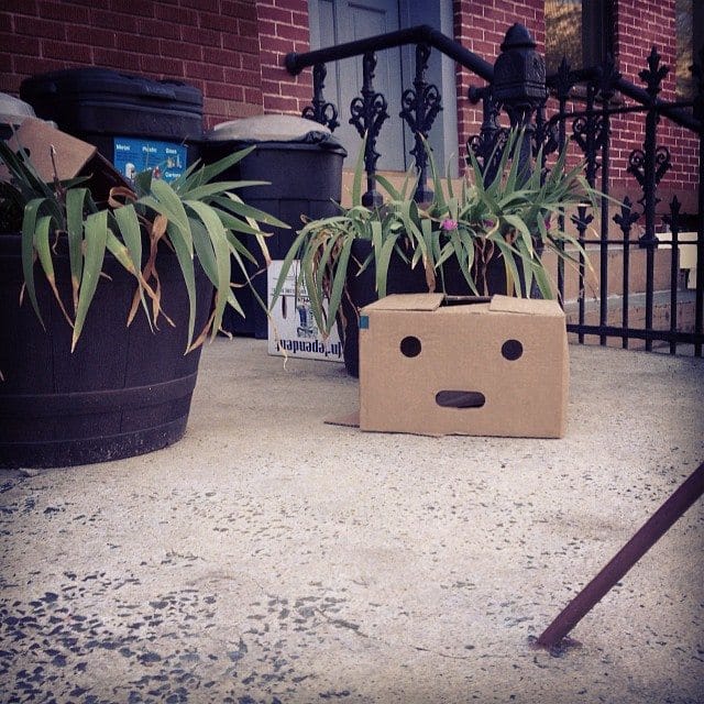 Photo Of The Day: Box Face