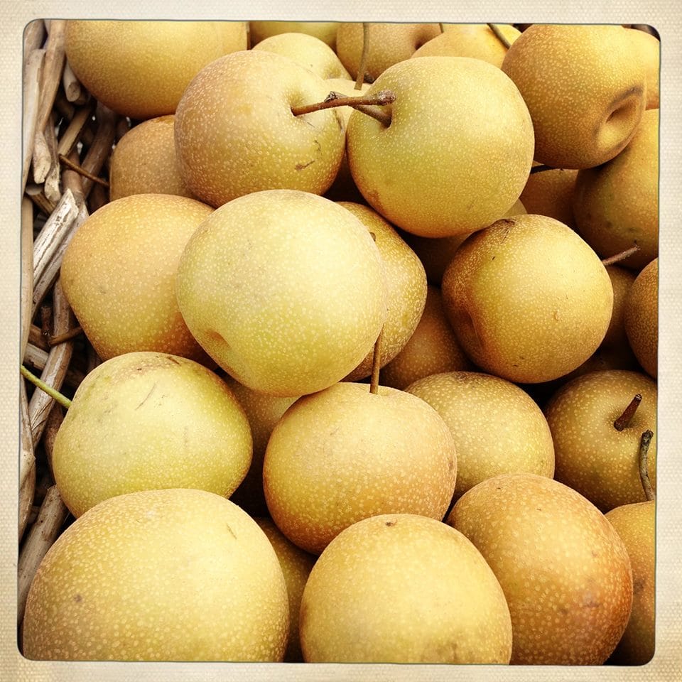 Bartlett Pears In The Spotlight At Thursday’s PS 295 Market