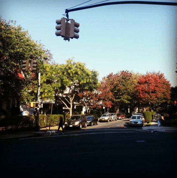 A Shadowy Street