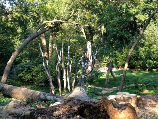 Natural Exploration Area Opens In Prospect Park October 6