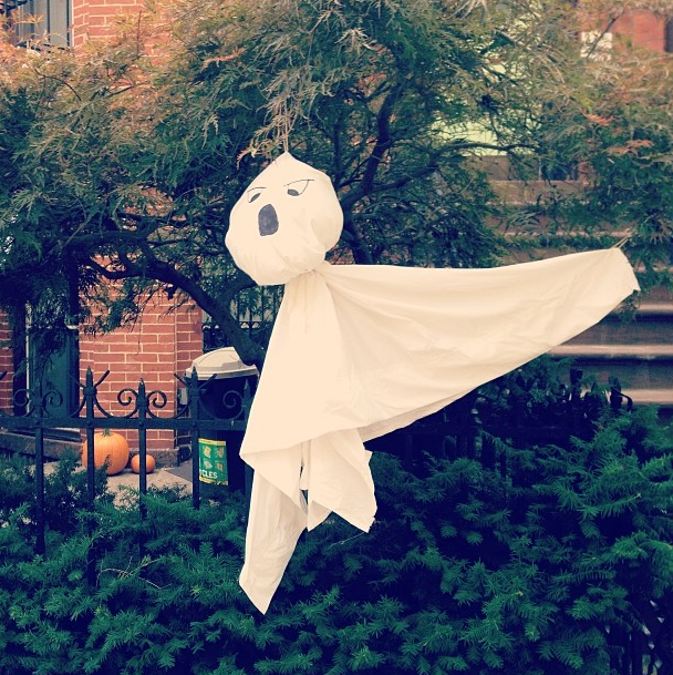 Photo Of The Day: Boo!