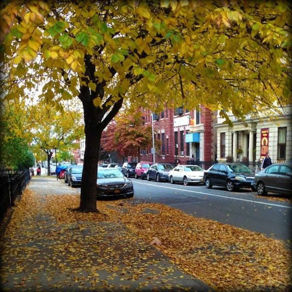 Photo Of The Day: Autumn On 14th Street