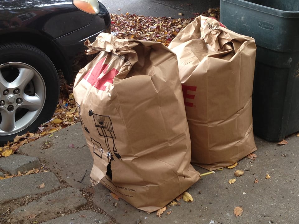 Raking Leaves? Bring Them To 6/15 Green