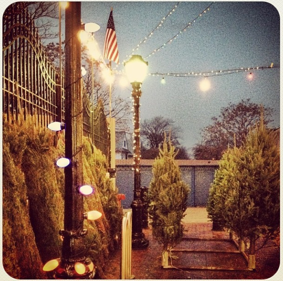 Street Lamps & String Lights