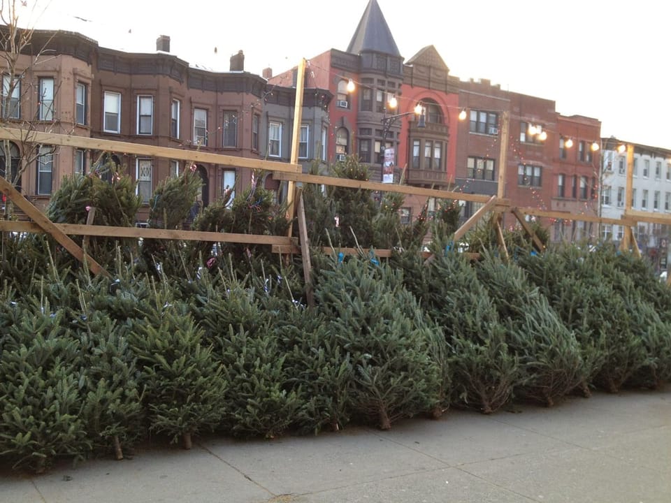 Where To Buy A Christmas Tree In Park Slope