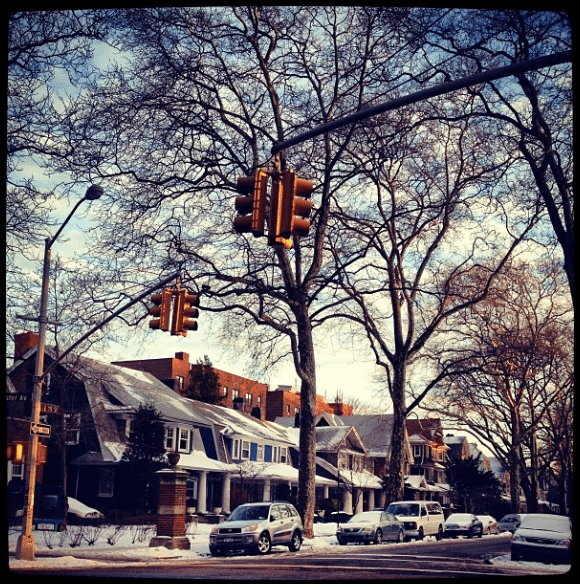 Trees & Freeze