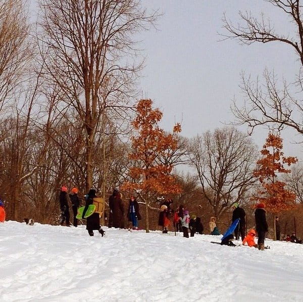 Free Hot Chocolate, Sledding, & Fun In Prospect Park Saturday