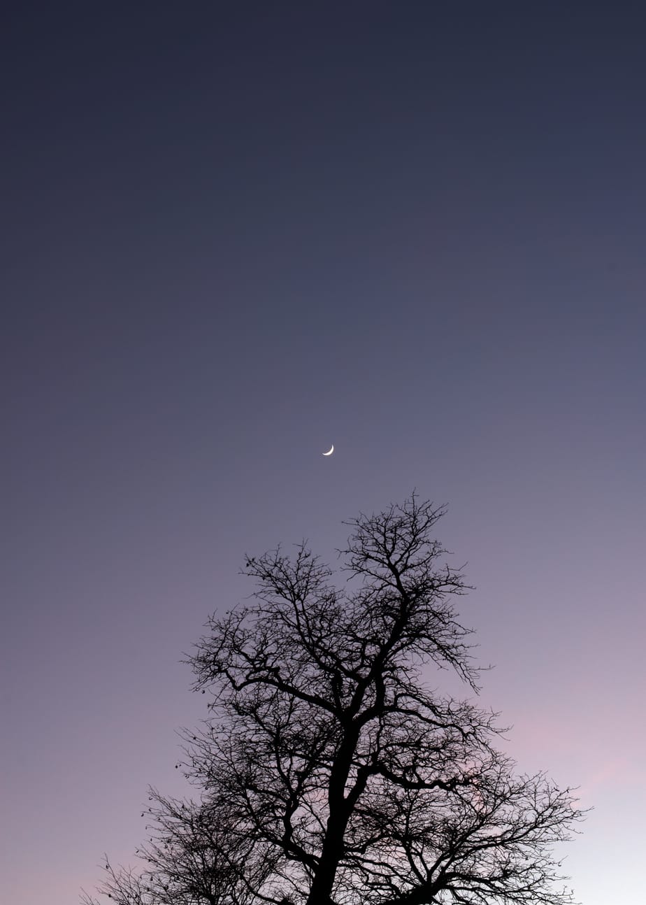 Photo Of The Day: Moon Over Prospect Park