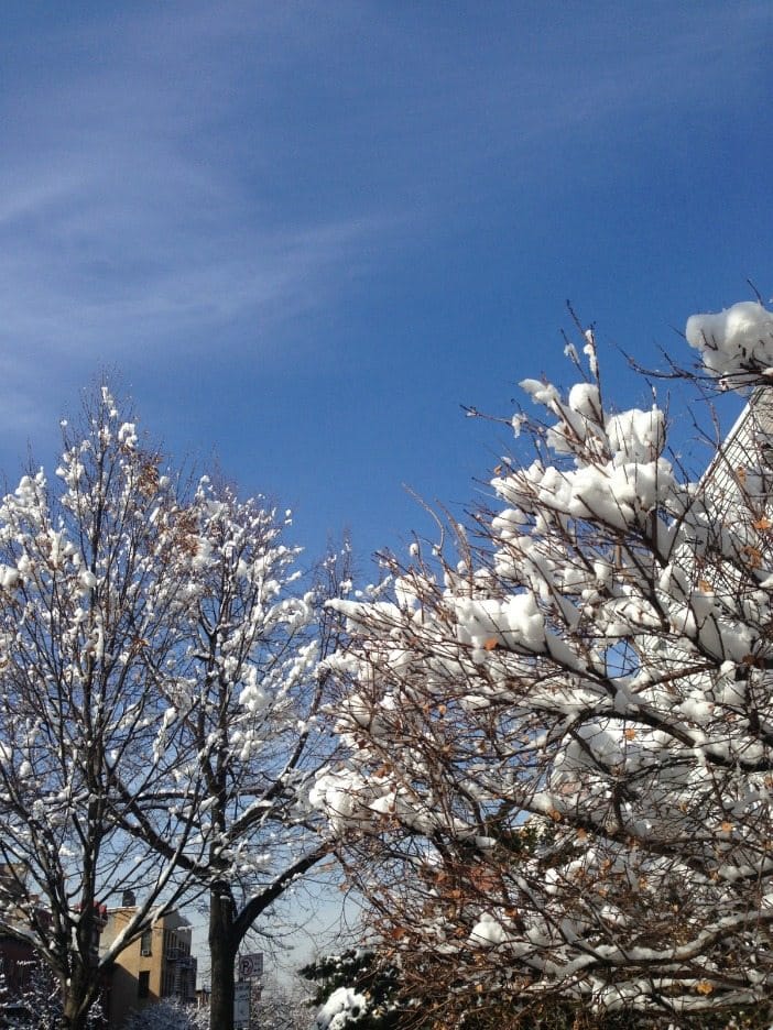 Photo Of The Day: Blue Skies