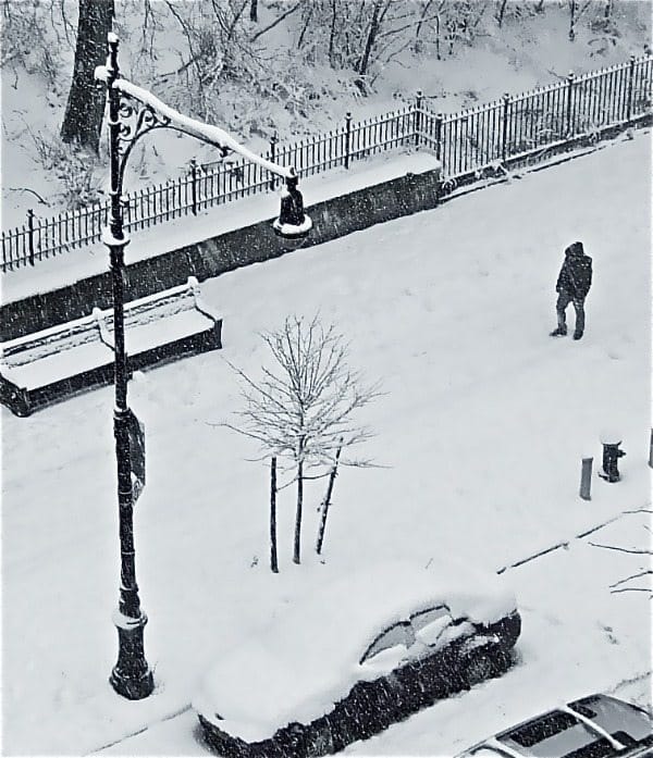 Photo(s) Of The Day: South Slope Snow