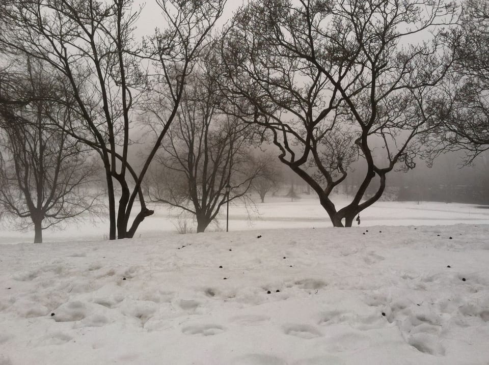 Photo Of The Day: Park Weather