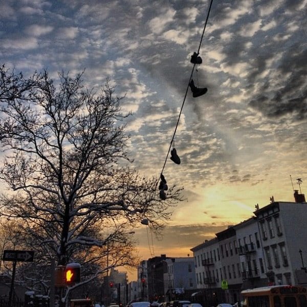 Photo Of The Day: Snow Shoes