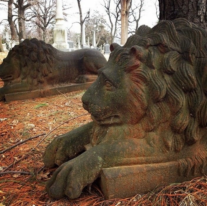 Photo Of The Day: Lions Of Green-Wood