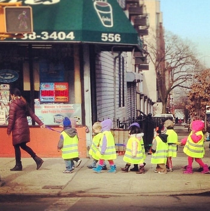 Photo Of The Day: Make Way For Ducklings