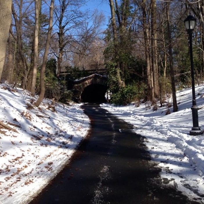 Go Hiking With The Urban Park Rangers Sunday