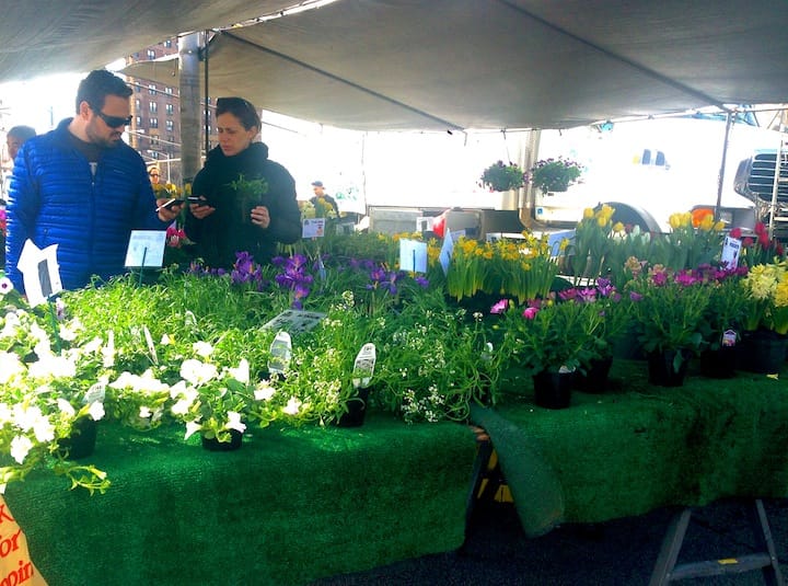 Grand Army Plaza Greenmarket Update: Grains, Fish, Herbs & More