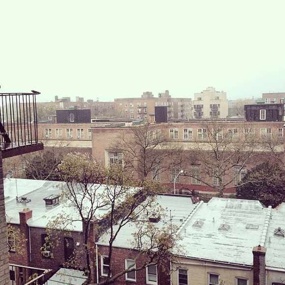 Rainy Rooftops