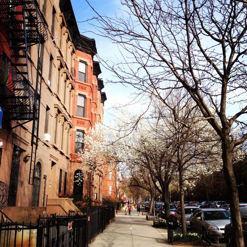 Make Your Voice Heard With Our New Feature, Park Slope Perspective