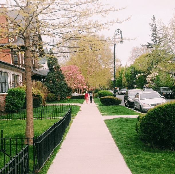 Spring Strolling