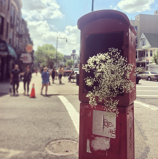 Flowers In The Fire Box