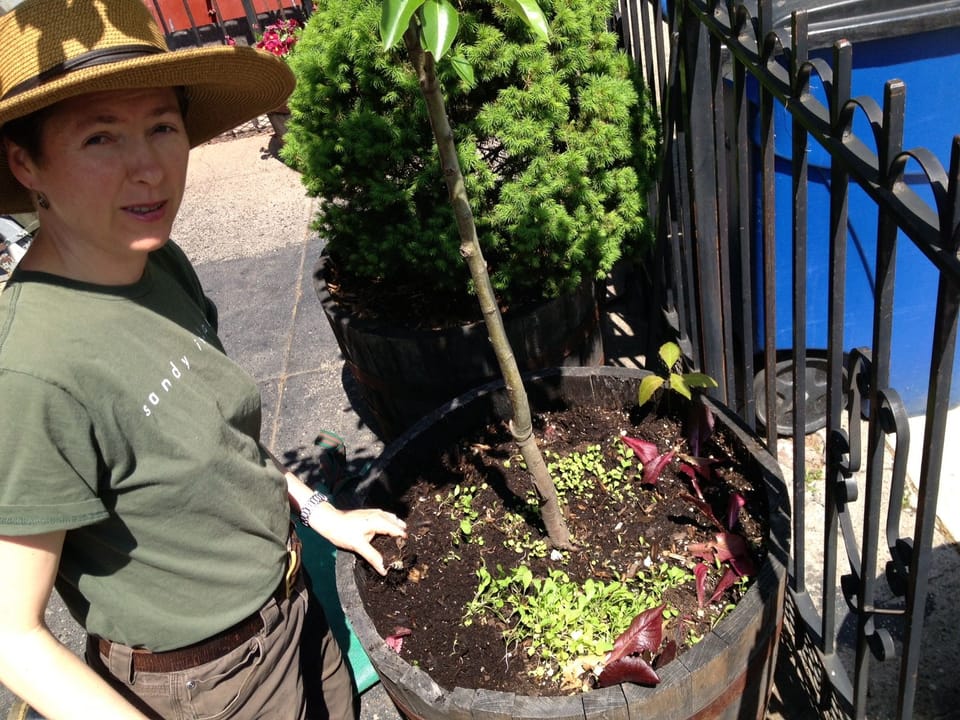 Photo Of The Week: Gardening At Brancaccio’s