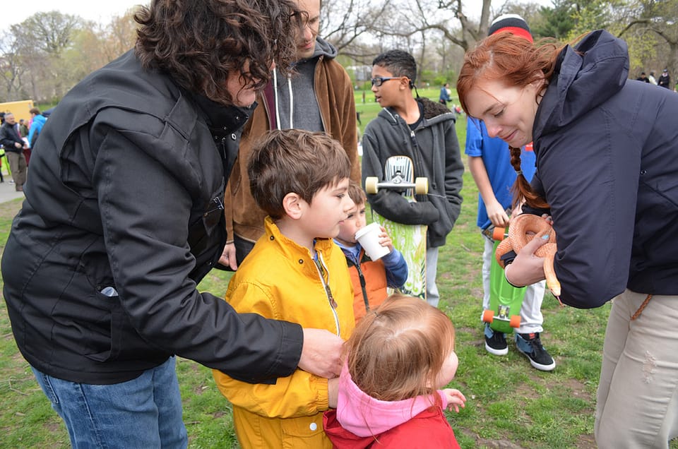 Playtime In Park Slope: Upcoming Children’s Events