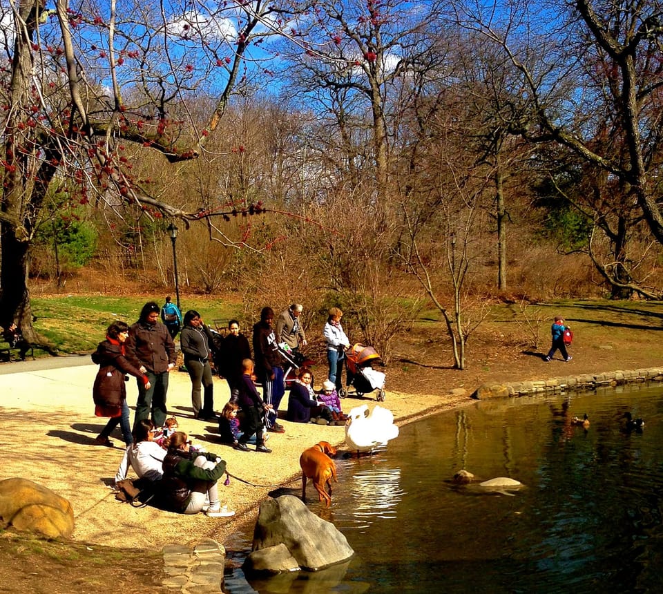 Bird Watchers & Dog Owners Clash In Prospect Park