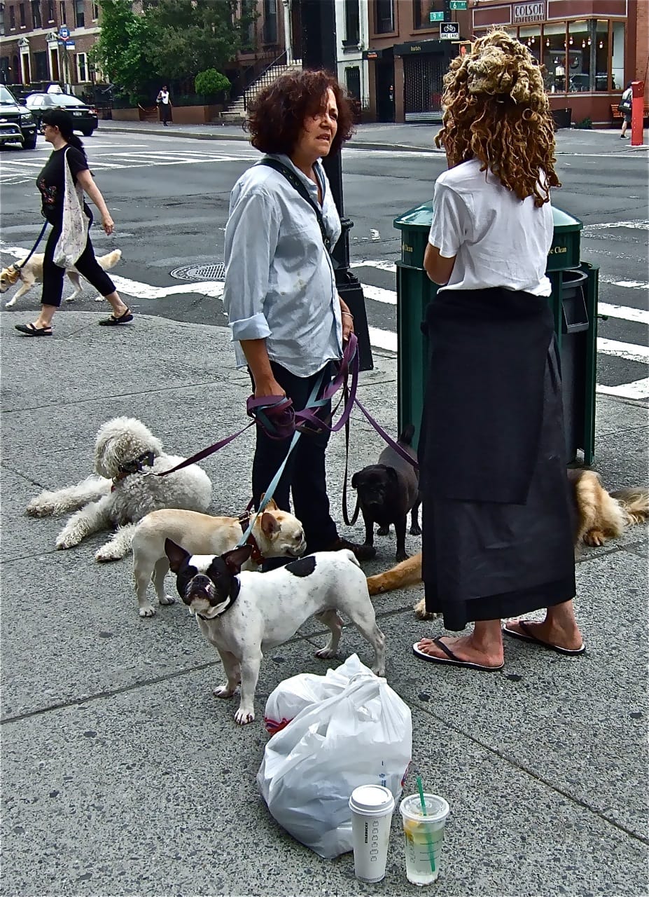 Photo Of The Day: Puppuccinos