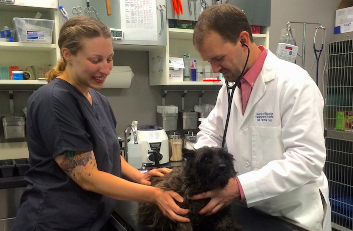 Dr. William Farmer On Coming Home To Fort Greene & Opening Heart Of Brooklyn Veterinary Hospital