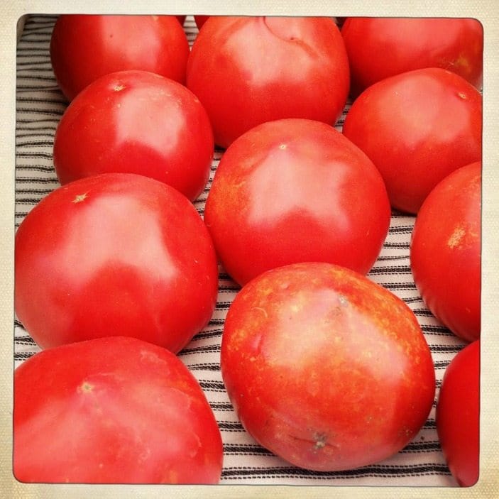 Stock Up On Fresh Tomatoes At Thursday’s PS 295 Market