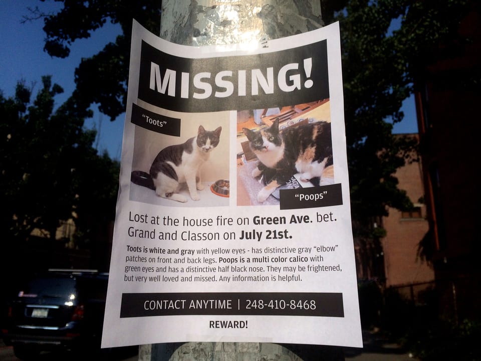 Keep An Eye Out For “Toots” & “Poops,” Missing Since 252 Greene Avenue Fire