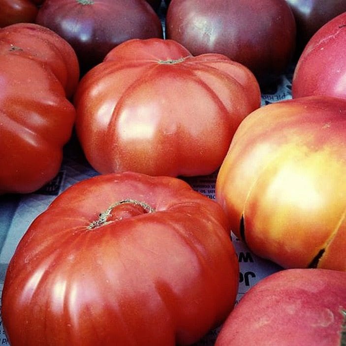 Heirloom Tomatoes Steal The Show At Thursday’s PS 295 Market