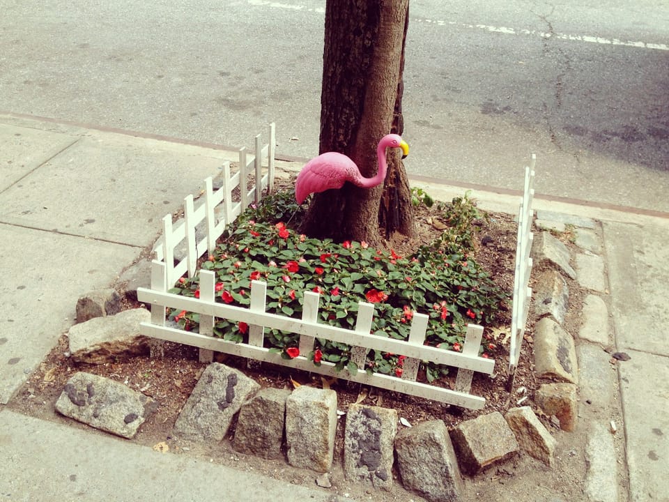 Photo Of The Day: 5th Ave Flamingo