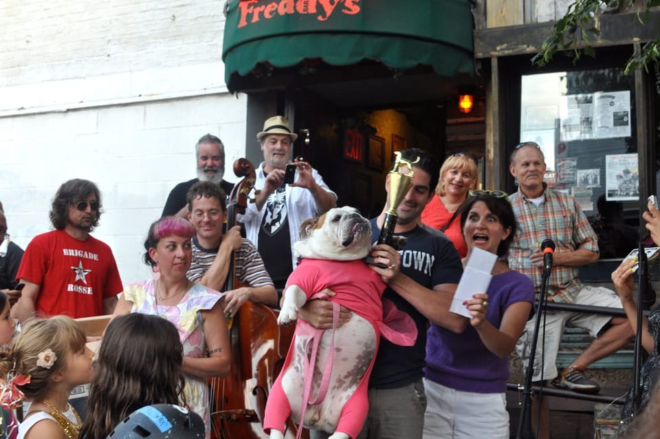 Bodacious Bulldog Takes Top Prize At Freddy’s First Doggie Fashion Show