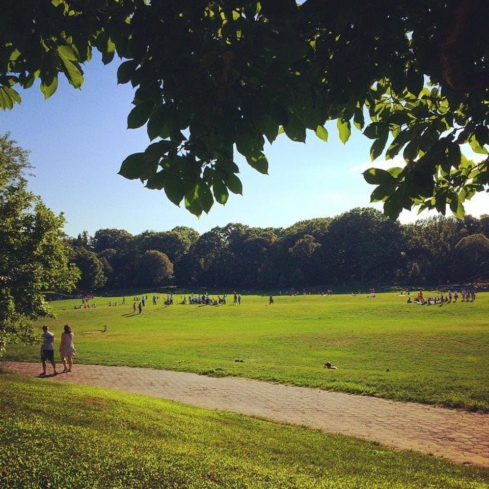 Things To Do In Prospect Park In September