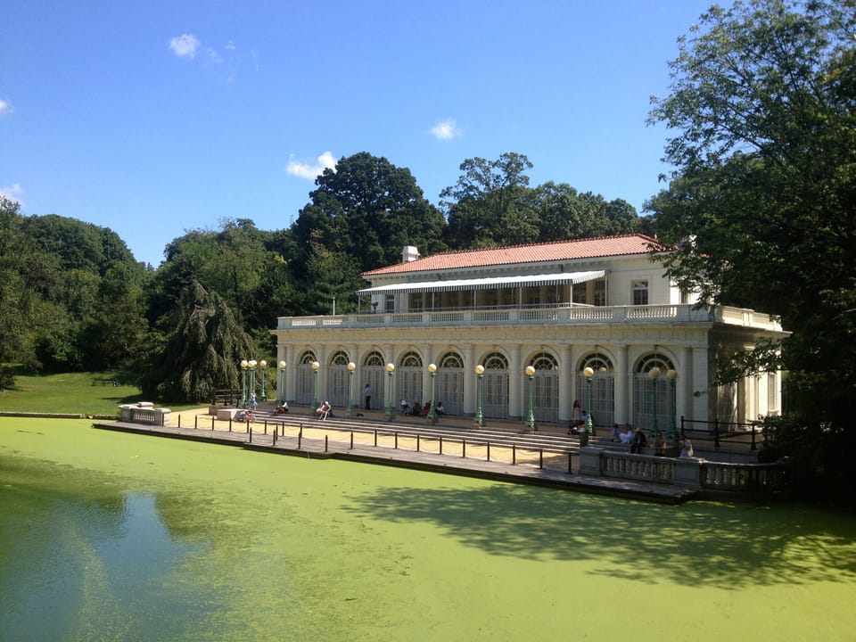 Is The Algae In Prospect Park Making Dogs Sick?