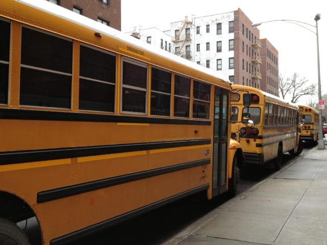 What Can Be Done To Stop People From Honking At School Buses In Ditmas Park?