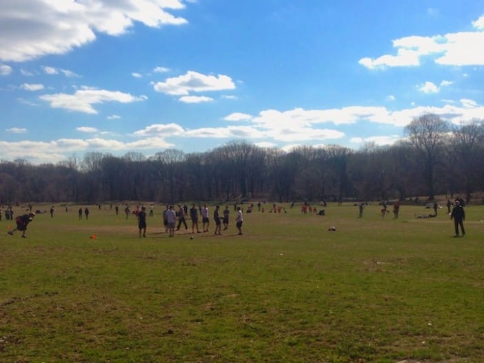 Long Meadow Ballfields Closed This Winter For Revitalization