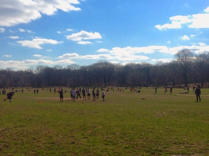 Long Meadow Ballfields Will Be Closed This Winter For Revitalization