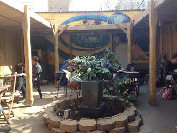 Qathra’s Backyard Opens With A Reboot